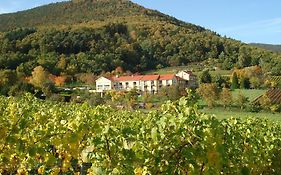 Wohlfühlhotel Alte Rebschule